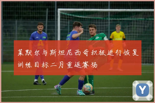 莱默尔与斯坦尼西奇积极进行恢复训练目标二月重返赛场