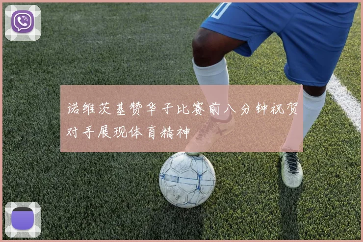 诺维茨基赞华子比赛前八分钟祝贺对手展现体育精神